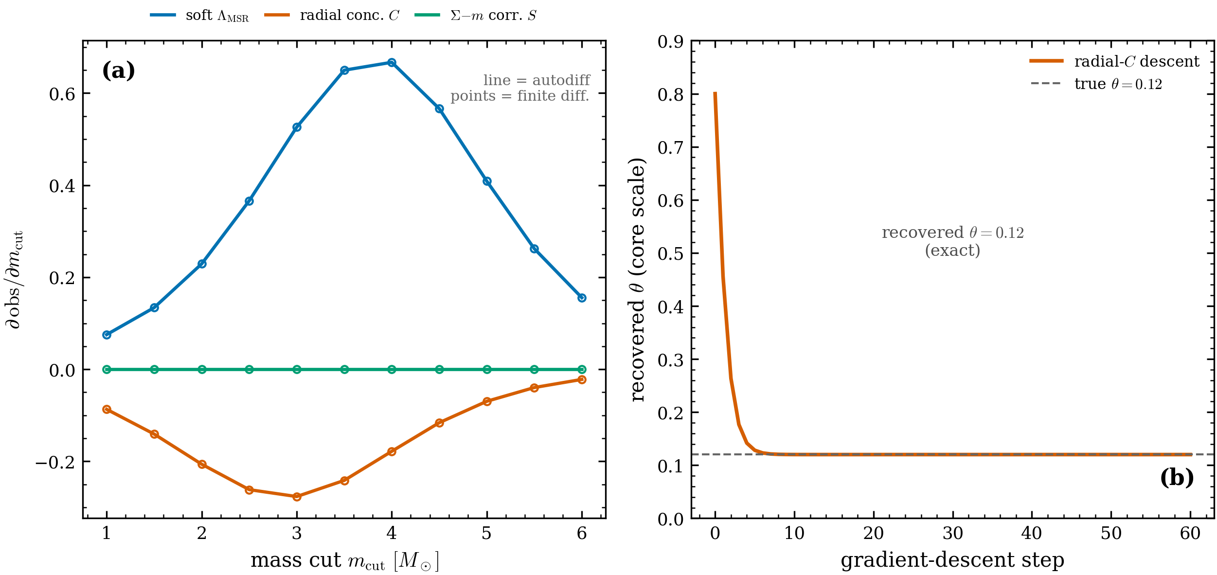 Gradients are exact and usable. (a) Autodiff \partial(\text{obs})/\partial
m_{\mathrm{cut}} (lines) vs central finite-difference (points) for all three observables —
agreement to \lesssim10^{-9}. (b) Gradient descent on the radial observable recovers the
true segregation strength \theta=0.12 exactly.