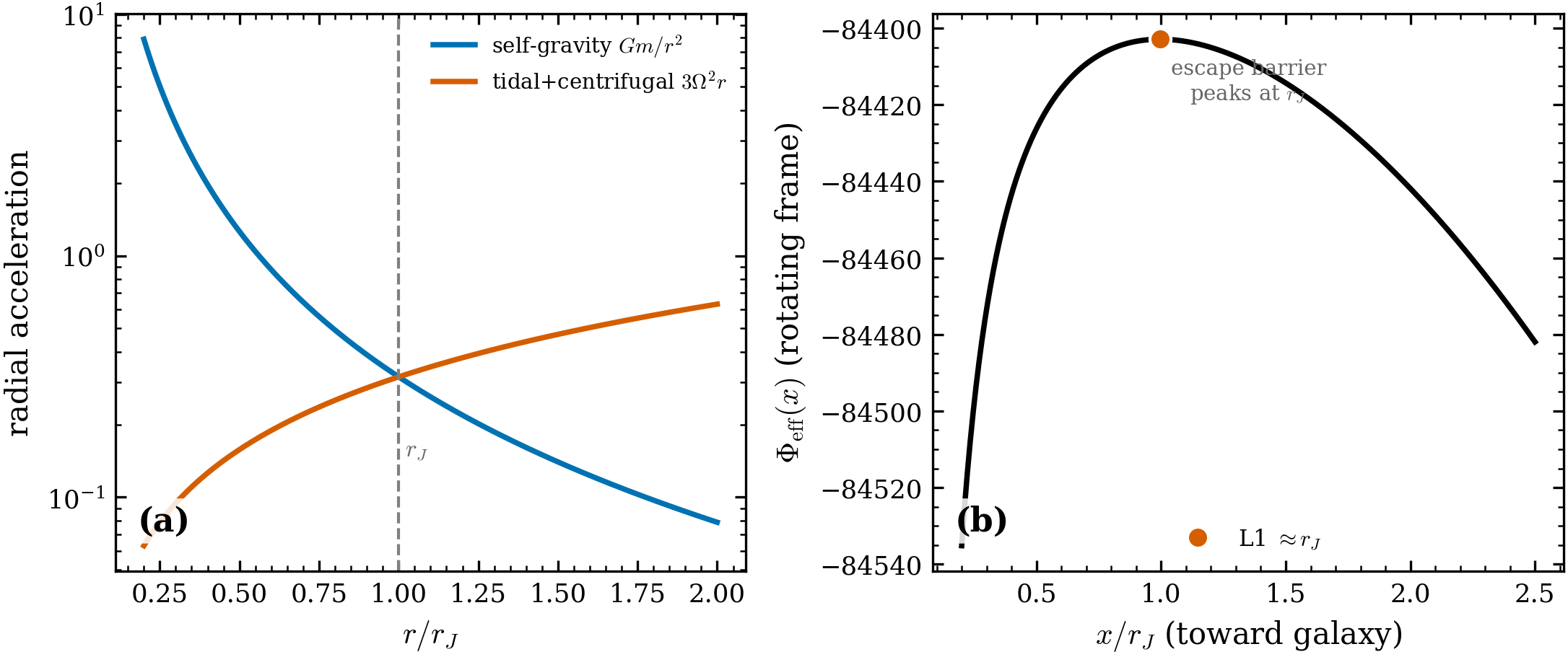 The tidal force balance. (a) The cluster’s self-gravity Gm/r^2 (inward) equals
the tidal+centrifugal field 3\Omega^2 r (outward) exactly at r_J. (b) In the
rotating frame the effective potential along the cluster–galaxy line peaks at the L1
point (\approx r_J) — the escape barrier a star must climb to be stripped.
